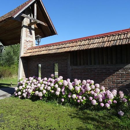 Cabanas Parque Salto Del Laja El Manzano  Phòng bức ảnh